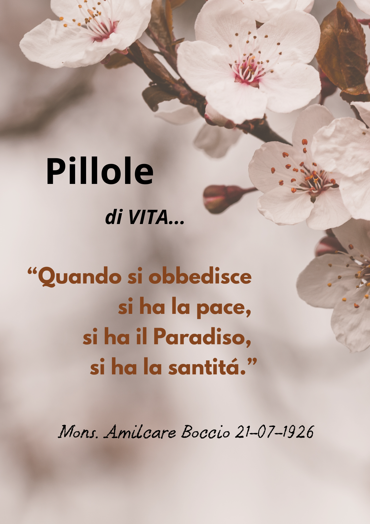 Piccole Figlie del Sacro Cuore di Ges&ugrave;